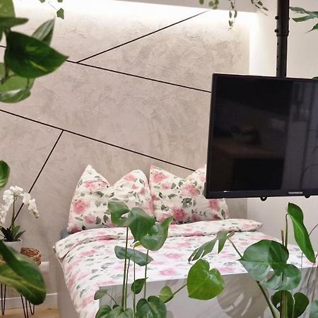 Magic House Apartament Proszowska 58 II บอชเนีย ภายนอก รูปภาพ