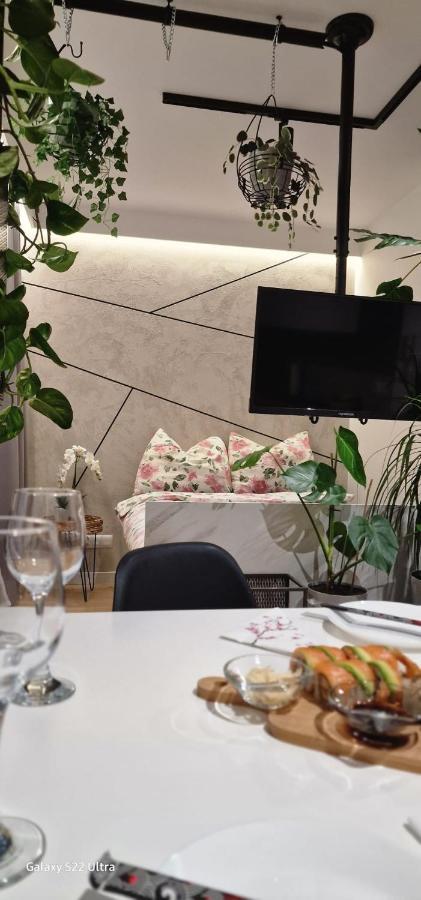 Magic House Apartament Proszowska 58 II บอชเนีย ภายนอก รูปภาพ