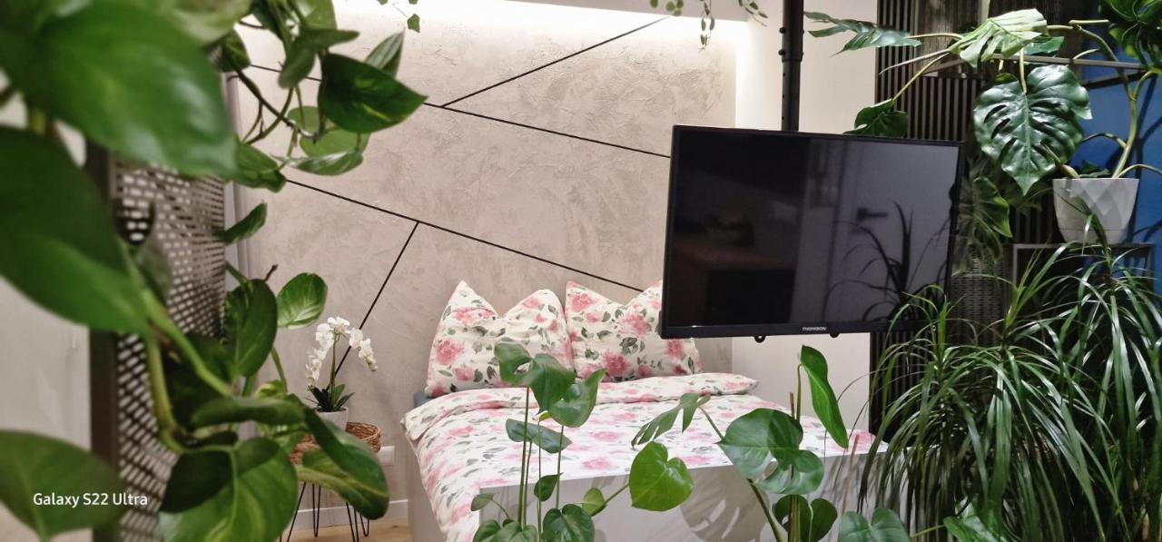 Magic House Apartament Proszowska 58 II บอชเนีย ภายนอก รูปภาพ