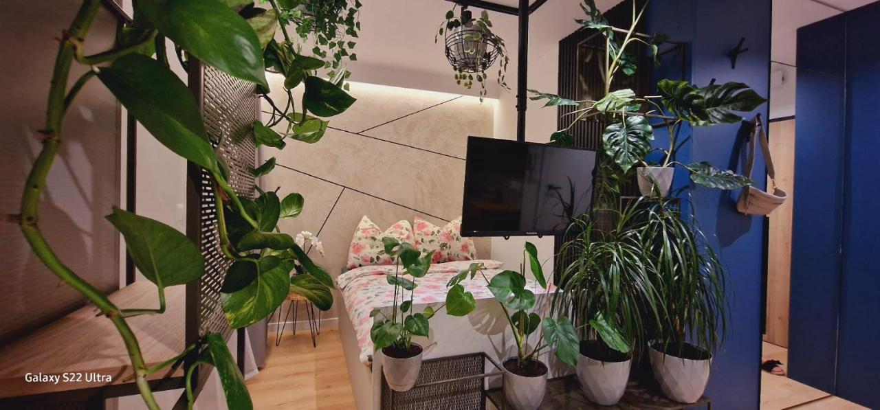 Magic House Apartament Proszowska 58 II บอชเนีย ภายนอก รูปภาพ
